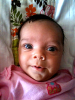 July 2011